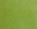 Green Fun Green Fun