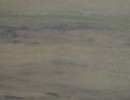 Wild Sea Wild Sea